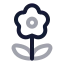 Flower 2 icon with twotone rounded style