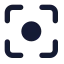 Focus icon with solid standard style