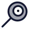 Fry icon preview