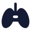 Gamecontroller icon with solid standard style