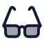 Glasses icon with duotone rounded style