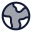 Global icon with duotone standard style