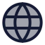 Globe icon with duotone rounded style