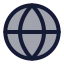 Globe icon with duotone standard style