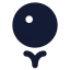 Solid