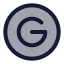 Google icon with duotone rounded style
