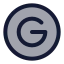 Google icon with duotone standard style