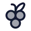 Grape icon with duotone rounded style