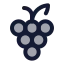 Grape icon with duotone standard style