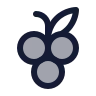 Grape icon preview