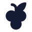 Grape icon with solid standard style