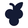 Grape icon preview