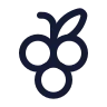 Grape icon preview