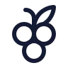 Grape icon preview