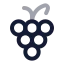 Grape icon with twotone rounded style