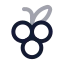 Grape icon with twotone rounded style
