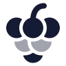 Grapes icon preview