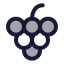 Grapes icon with duotone rounded style