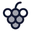 Grapes icon with duotone standard style