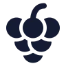 Grapes icon preview