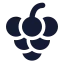 Grapes icon with solid standard style