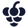 Grapes icon preview