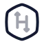 Hackerrank icon with twotone rounded style