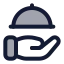 Handplatter icon with duotone rounded style