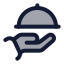 Handplatter icon with duotone standard style