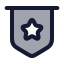 Honourstar icon with duotone rounded style