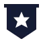 Honourstar icon with solid sharp style