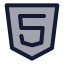 Html icon with duotone standard style