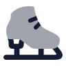 Ice Skating icon preview