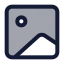 Image icon with duotone standard style