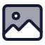 Image icon with duotone standard style