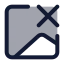 Imagedelete icon with duotone standard style