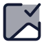 Imagedone icon with duotone standard style