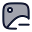Duotone