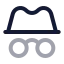 Incognito icon with twotone rounded style
