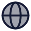 Internet icon with duotone standard style