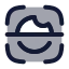 Irisscan icon with duotone rounded style