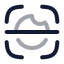 Irisscan icon with twotone rounded style