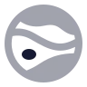 Jupiter icon preview