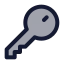 Key icon with duotone rounded style