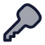 Key icon with duotone standard style