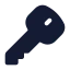 Key icon with solid standard style