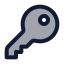 Keyround icon with duotone rounded style