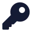 Keyround icon with solid standard style