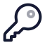 Keyround icon with twotone rounded style