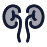 Kidneys icon preview